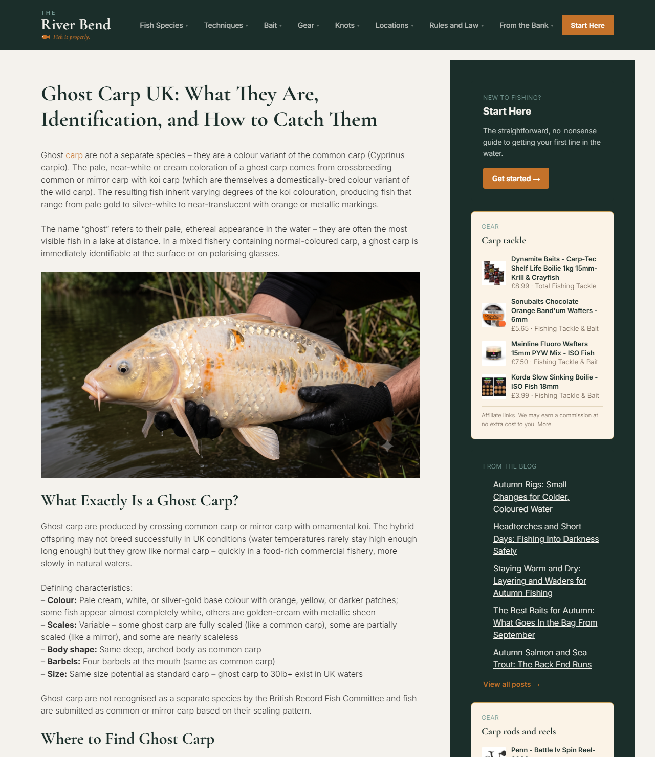 A species guide on the site, with the answer first, the schema-marked article, and the gear panel alongside it