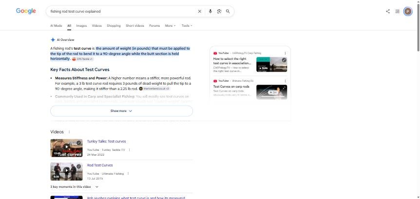 The AI Overview for the same search, citing theriverbend.co.uk in its explanation of what a test curve measures